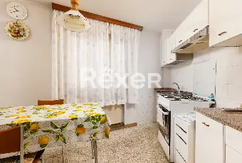 Rexer-San-Vito-al-Tagliamento-Soluzione-indipendente-con-terrazzo-abitabile-e-giardino-privato-Altro