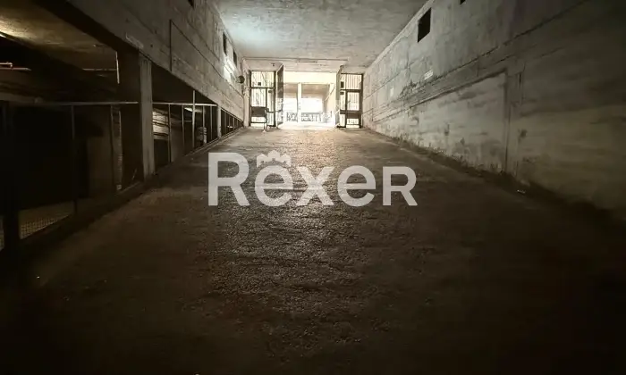 Rexer-Roma-GarageBox-Via-Riccardo-Zampieri-Altro
