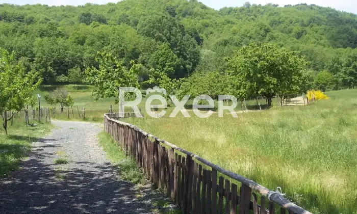 Rexer-Motta-Santa-Lucia-Azienda-Agricola-in-vendita-a-Motta-Santa-Lucia-Contrada-Marignano-Altro