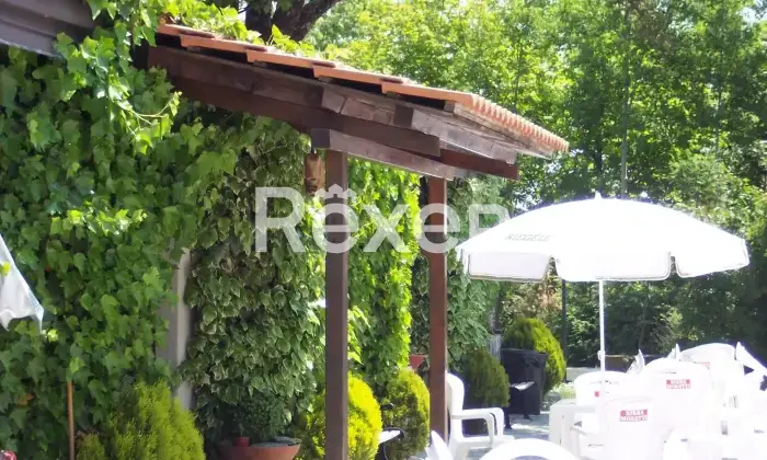 Rexer-Motta-Santa-Lucia-Azienda-Agricola-in-vendita-a-Motta-Santa-Lucia-Contrada-Marignano-Altro