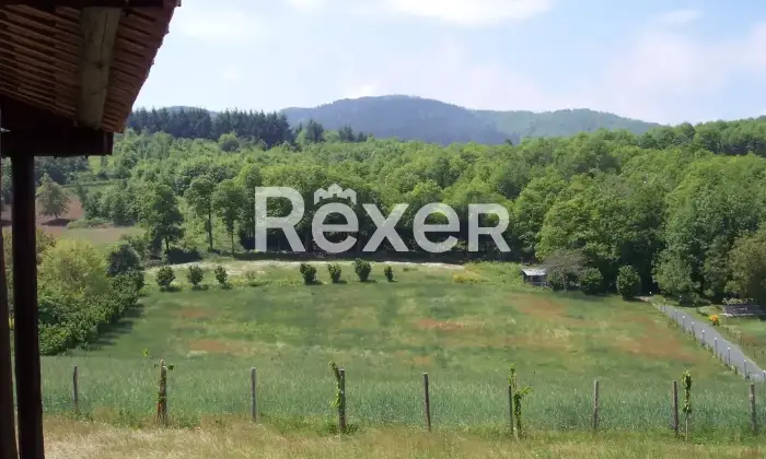 Rexer-Motta-Santa-Lucia-Azienda-Agricola-in-vendita-a-Motta-Santa-Lucia-Contrada-Marignano-Altro