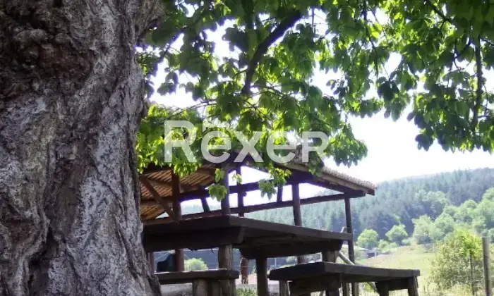 Rexer-Motta-Santa-Lucia-Azienda-Agricola-in-vendita-a-Motta-Santa-Lucia-Contrada-Marignano-Altro