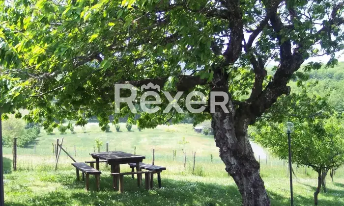 Rexer-Motta-Santa-Lucia-Azienda-Agricola-in-vendita-a-Motta-Santa-Lucia-Contrada-Marignano-Altro