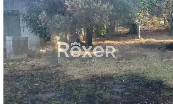 Rexer-Siderno-Soluzione-indipendente-su-terreno-edificabile-a-km-dal-centro-di-Siderno-Altro