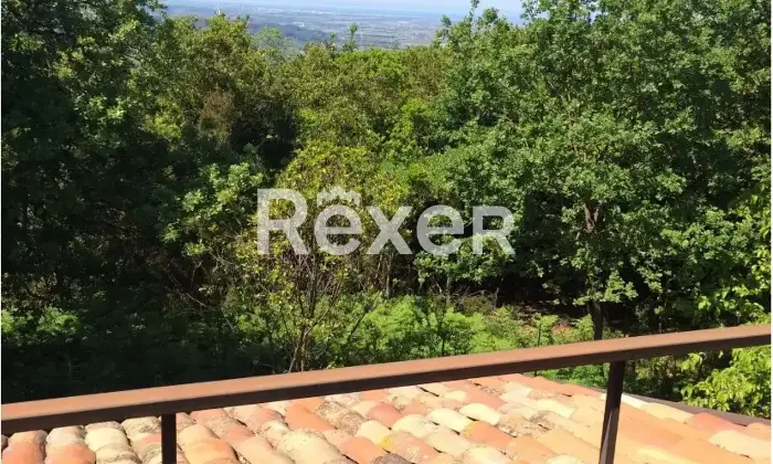 Rexer-Serrastretta-Villa-in-vendita-in-frazione-San-Michele-a-Serrastretta-Altro