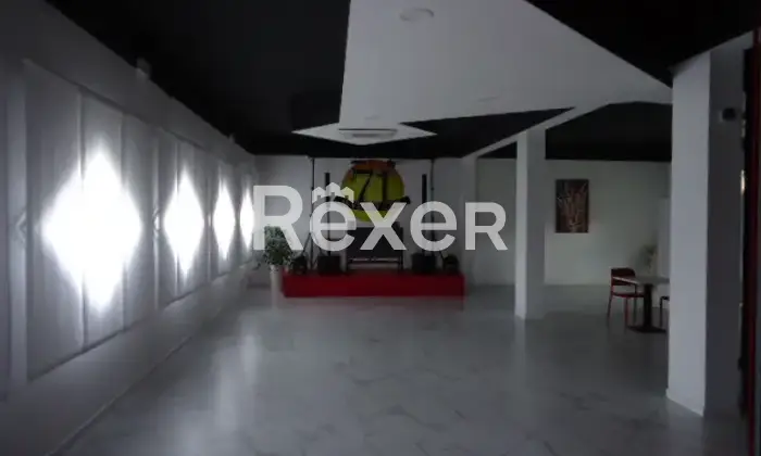 Rexer-Berra-Locale-commerciale-in-vendita-in-via-Postale-a-Berra-Altro