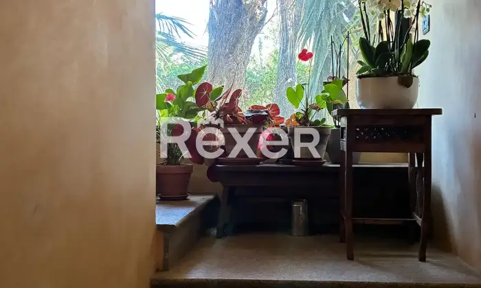 Rexer-Pianopoli-Abitazione-con-negozio-in-vendita-in-Viale-E-Berlinguer-a-Pianopoli-Altro