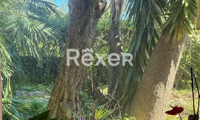 Rexer-Pianopoli-Abitazione-con-negozio-in-vendita-in-Viale-E-Berlinguer-a-Pianopoli-Altro