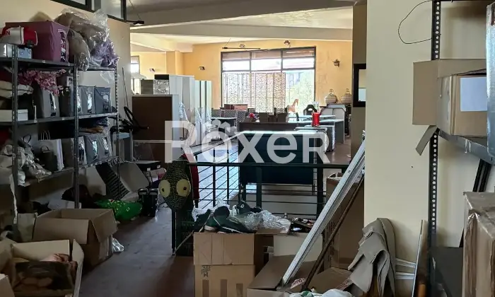 Rexer-Pianopoli-Abitazione-con-negozio-in-vendita-in-Viale-E-Berlinguer-a-Pianopoli-Altro