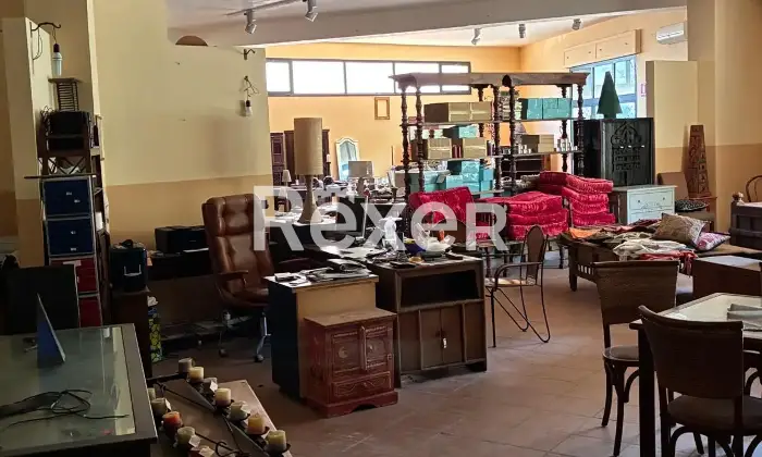 Rexer-Pianopoli-Abitazione-con-negozio-in-vendita-in-Viale-E-Berlinguer-a-Pianopoli-Altro