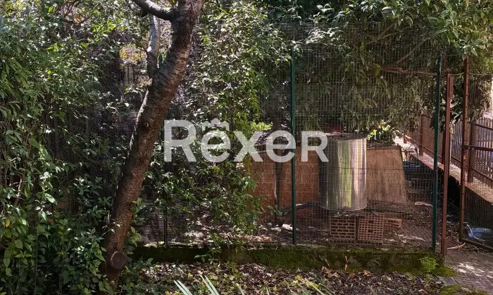 Rexer-Pianopoli-Abitazione-con-negozio-in-vendita-in-Viale-E-Berlinguer-a-Pianopoli-Altro