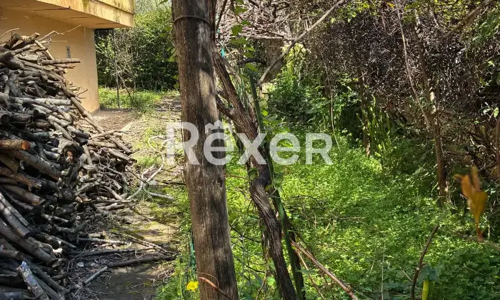 Rexer-Pianopoli-Abitazione-con-negozio-in-vendita-in-Viale-E-Berlinguer-a-Pianopoli-Altro