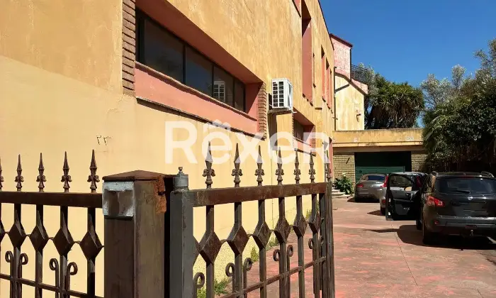 Rexer-Pianopoli-Abitazione-con-negozio-in-vendita-in-Viale-E-Berlinguer-a-Pianopoli-Altro