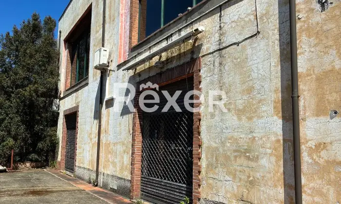 Rexer-Pianopoli-Abitazione-con-negozio-in-vendita-in-Viale-E-Berlinguer-a-Pianopoli-Altro