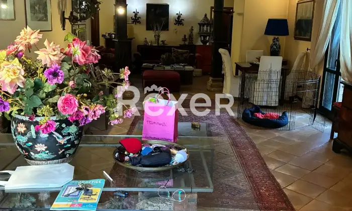 Rexer-Pianopoli-Abitazione-con-negozio-in-vendita-in-Viale-E-Berlinguer-a-Pianopoli-Altro