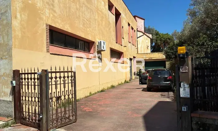 Rexer-Pianopoli-Abitazione-con-negozio-in-vendita-in-Viale-E-Berlinguer-a-Pianopoli-Altro