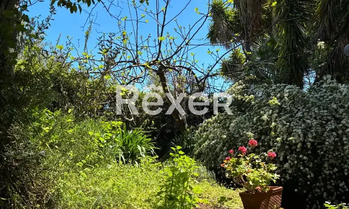 Rexer-Pianopoli-Abitazione-con-negozio-in-vendita-in-Viale-E-Berlinguer-a-Pianopoli-Altro