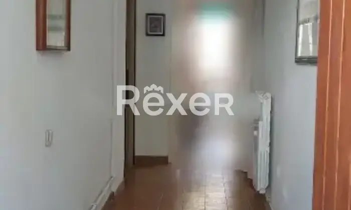 Rexer-Latina-Trilocale-in-vendita-in-Via-Marco-Attilio-Regolo-a-Latina-Altro