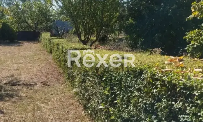 Rexer-Valentano-Villetta-bifamiliare-in-vendita-in-Via-Alessandro-Guarnelli-a-Valentano-Altro