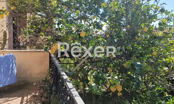 Rexer-Cerveteri-Spazioso-appartamento-su-due-piani-con-giardino-balcone-camino-Giardino