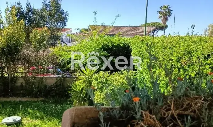 Rexer-Cerveteri-Spazioso-appartamento-su-due-piani-con-giardino-balcone-camino-Giardino