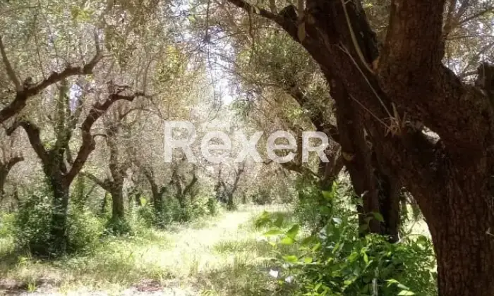 Rexer-Poggibonsi-Casale-in-vendita-Altro