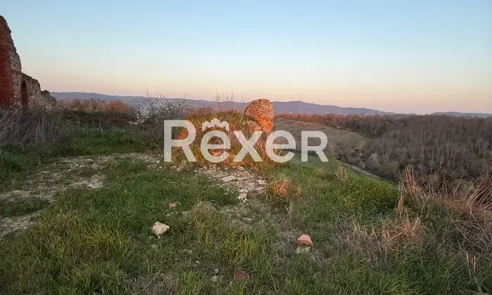 Rexer-Asciano-Rudere-tra-le-colline-senesi-Altro