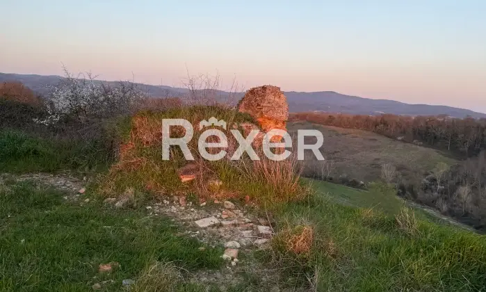 Rexer-Asciano-Rudere-tra-le-colline-senesi-Altro