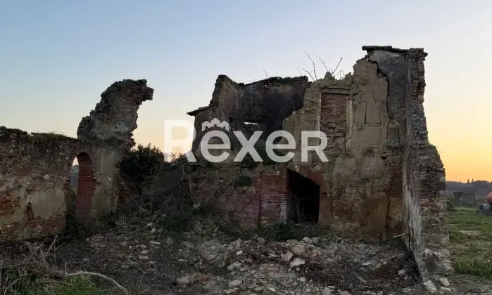 Rexer-Asciano-Rudere-tra-le-colline-senesi-Fabbricato-rurale