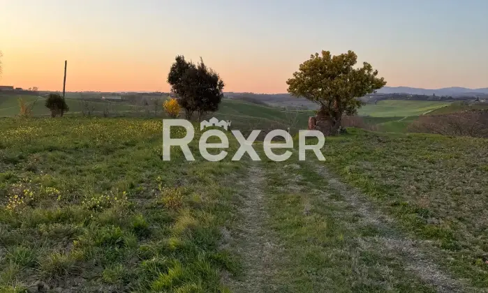 Rexer-Asciano-Rudere-tra-le-colline-senesi-Cortile