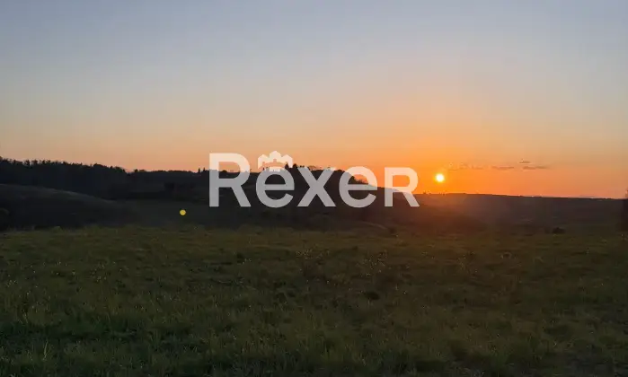 Rexer-Asciano-Rudere-tra-le-colline-senesi-Vista