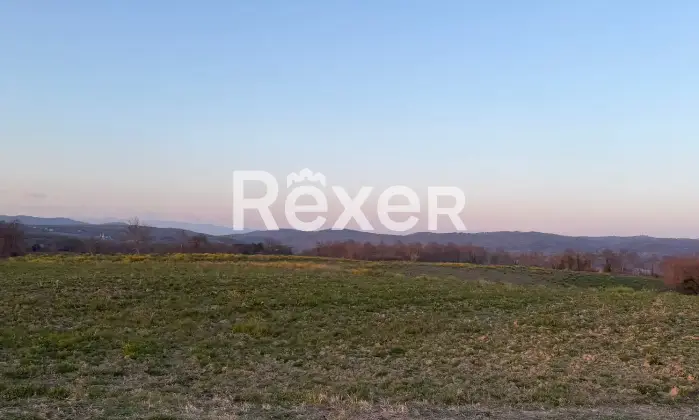 Rexer-Asciano-Rudere-tra-le-colline-senesi-Terreno