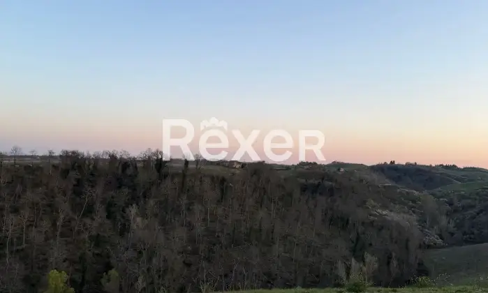 Rexer-Asciano-Rudere-tra-le-colline-senesi-Terreno
