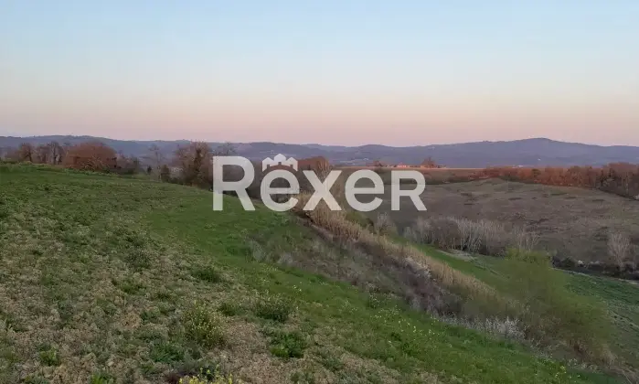 Rexer-Asciano-Rudere-tra-le-colline-senesi-Terreno