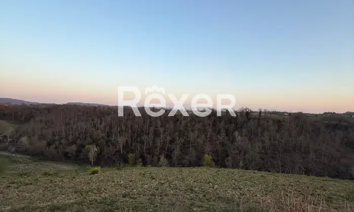 Rexer-Asciano-Rudere-tra-le-colline-senesi-Terreno