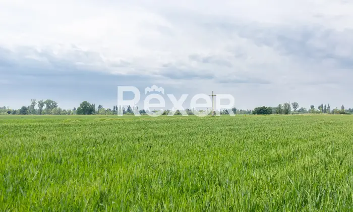 Rexer-San-Donato-Milanese-Trilocale-doppi-servizi-con-box-auto-Altro
