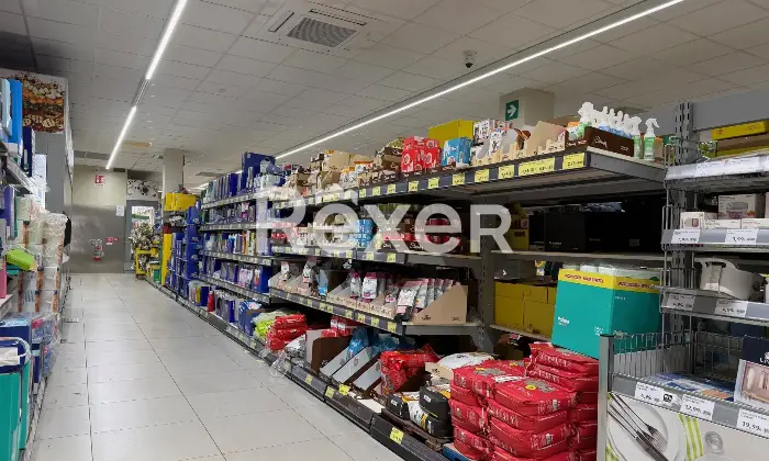 Rexer-Roma-Immobile-commerciale-in-Roma-Altro