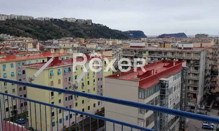 Rexer-Napoli-privato-vende-libero-al-rogito-Vista