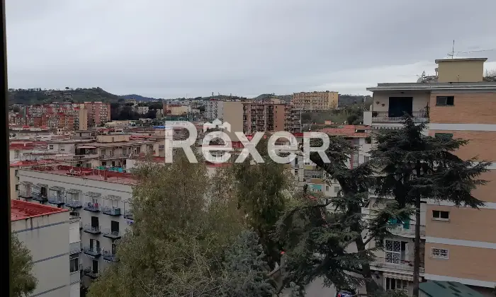 Rexer-Napoli-privato-vende-libero-al-rogito-Vista