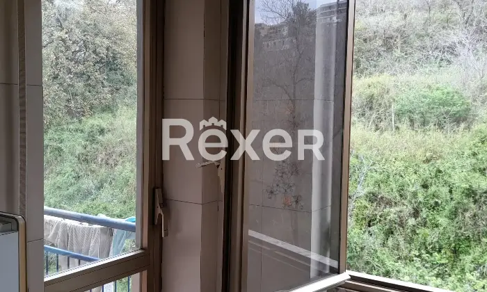 Rexer-Napoli-privato-vende-libero-al-rogito-Altro