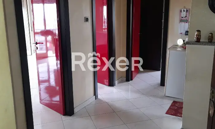 Rexer-Napoli-privato-vende-libero-al-rogito-Altro