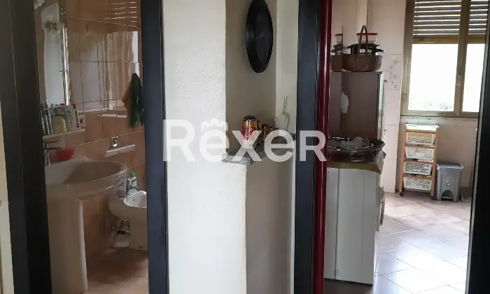 Rexer-Napoli-privato-vende-libero-al-rogito-Altro