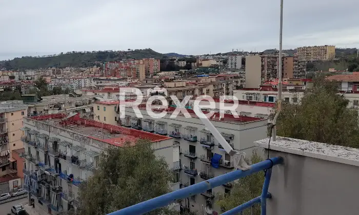 Rexer-Napoli-privato-vende-libero-al-rogito-Vista