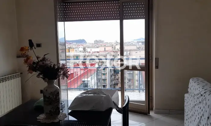 Rexer-Napoli-privato-vende-libero-al-rogito-Altro