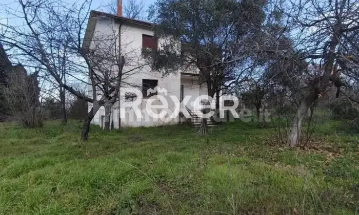 Rexer-Taurasi-Taurasi-villa-con-giardino-mq-a-due-passi-dal-centro-Giardino