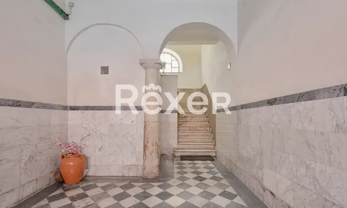 Rexer-Carrara-Appartamento-in-centro-Altro