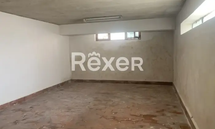 Rexer-Brolo-Cantina-Box-Altro