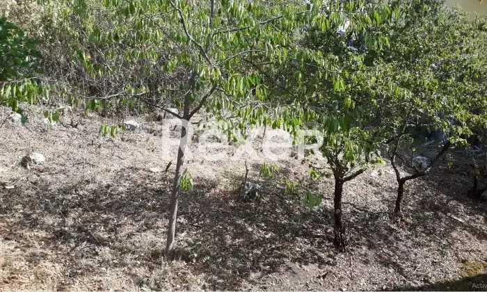 Rexer-Borgorose-Villetta-bifamiliare-in-vendita-in-Via-San-Giovanni-a-Borgorose-Altro