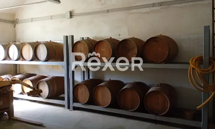 Rexer-Cellino-Attanasio-Azienda-Agricola-in-vendita-in-Contrada-Vallarora-a-Cellino-Attanasio-Altro