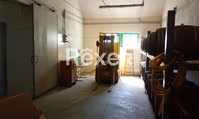 Rexer-Cellino-Attanasio-Azienda-Agricola-in-vendita-in-Contrada-Vallarora-a-Cellino-Attanasio-Altro